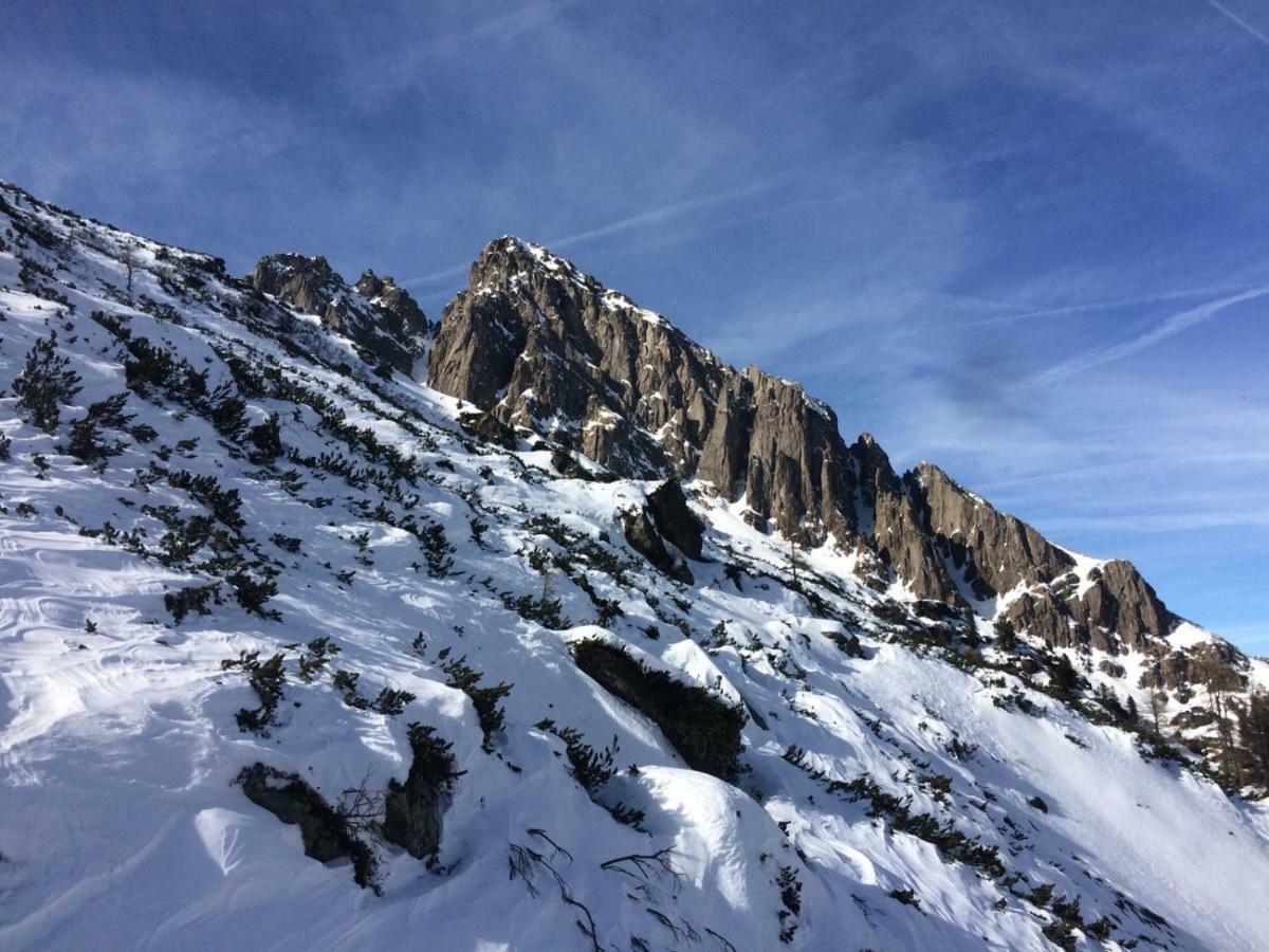 La Finestra Sulle Dolomiti - The Window To The Dolomites Fiera Di Primiero Exterior foto